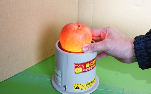 2026年発送 先行予約》 蜜入りりんご 高徳 2kg (6～12玉入り) 山形県産