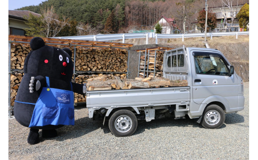 南相木村の薪『広葉樹ミックス（クリ、アカシア、ケヤキ等）』（1立米