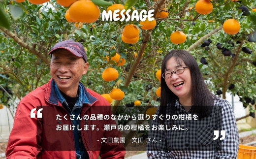 文田農園 の 柑橘 詰め合わせ 約5kg 7~8種 【2026年2月以降発送】 果物