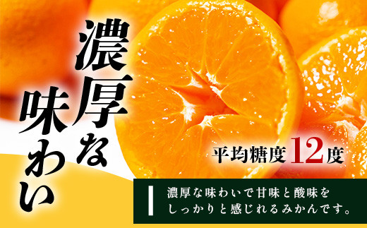 みかん 5kg 《まぼろしのみかん》鹿島 平倉果樹園のみかん『今村』 約