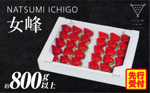 ≪先行予約≫ NATSUMI ICHIGO 女峰 約1.8kg以上（2026年1月～6月配送