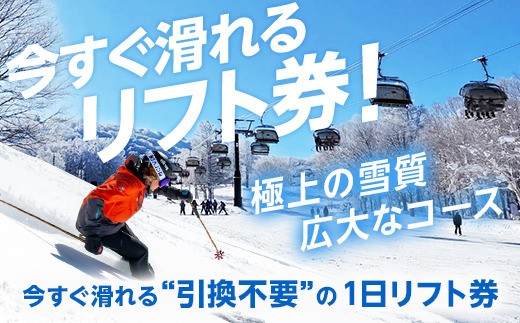 野沢温泉スキー場 リフト＆ゴンドラ1日券 | I-1 観光 ゴンドラ 温泉 お