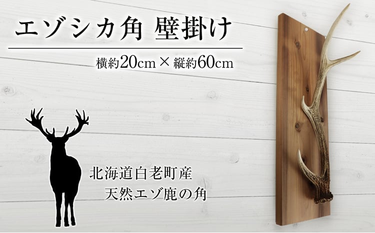 sd1_e3ab66368016538abf4e8e15d0