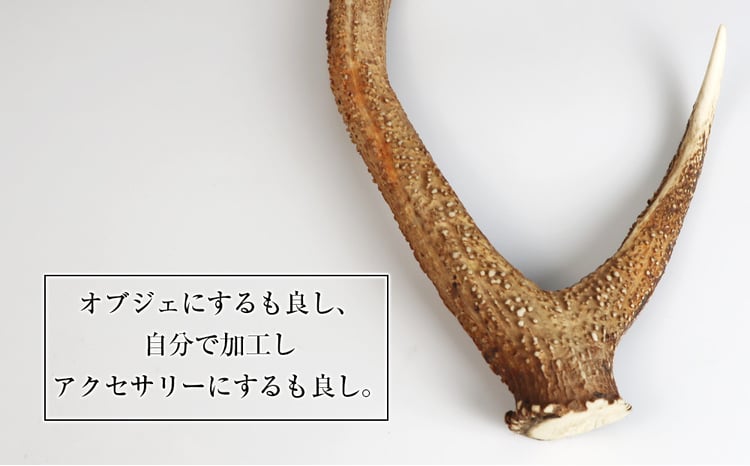 sd4_5eaa9e0b24912d1e59d24ecc5b