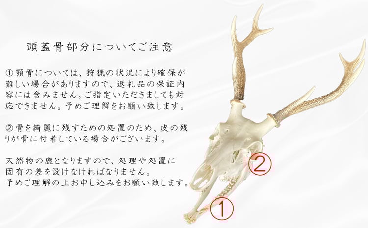 sd3_2a89b7f7e46a195985e0493cc4