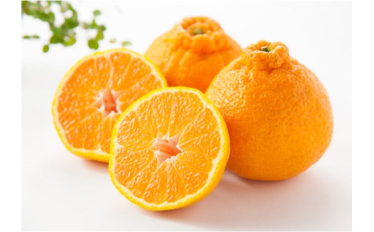 №5353-0582]でこぽん 不知火（デコポン）約5kg 柑橘 果物 フルーツ