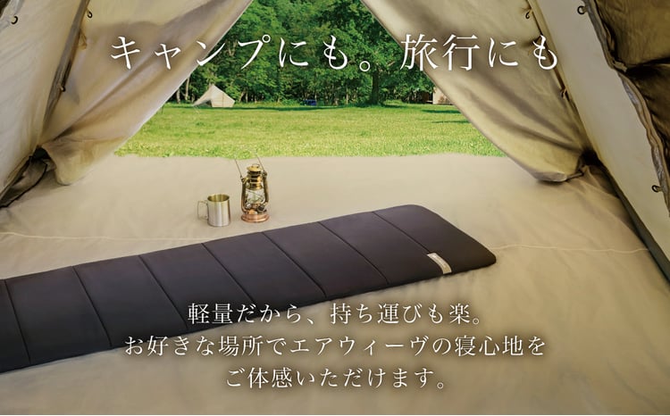 エアウィーヴ ポータブルmini キャリングケース付き | エアウィーヴ