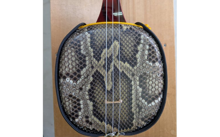 三線工房ダイキ」チュン材赤塗り 蛇皮二重張り三線セット｜三線 沖縄