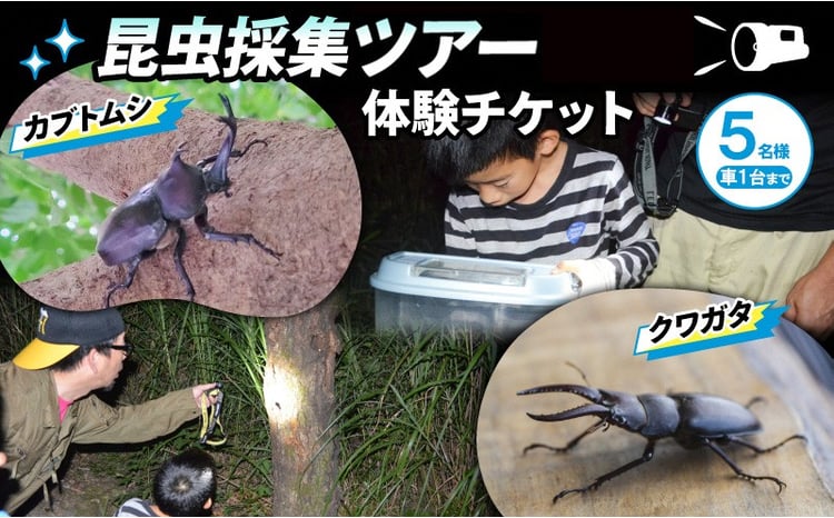 sd1_d7046033a107cddad4091bd27a