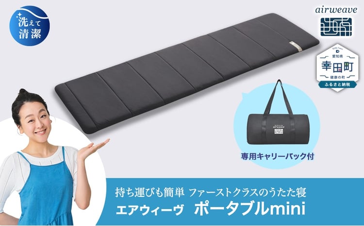 エアウィーヴ ポータブルmini キャリングケース付き | エアウィーヴ