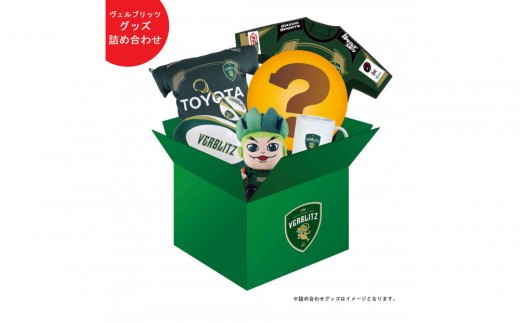 トップスポーツチーム活動支援事業寄附金専用】トヨタヴェルブリッツ