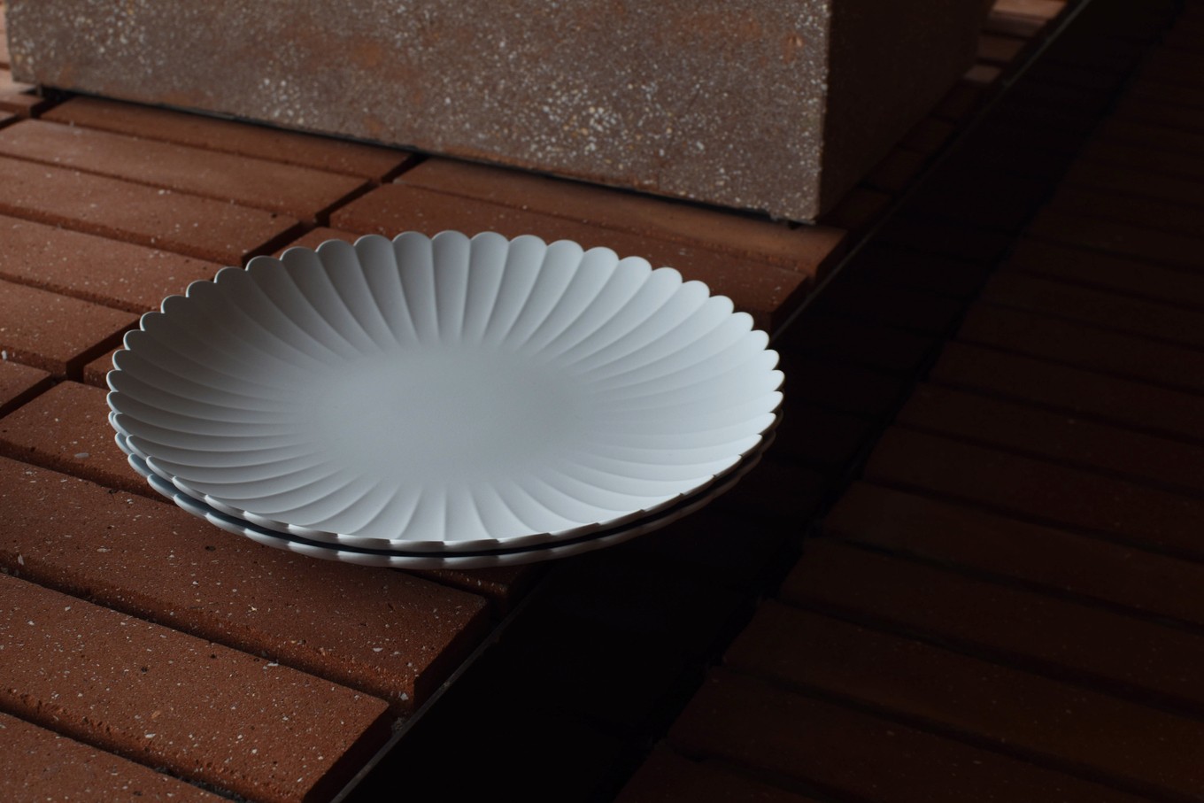 1616/ TY Palace Plate 220 2枚セット【1616/arita japan】有田焼 食器