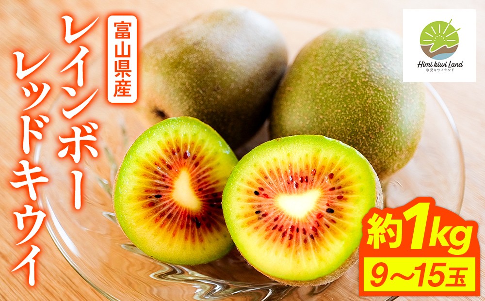 氷見キウイランド】氷見産キウイ（レインボーレッド）1kg以上（9～15玉