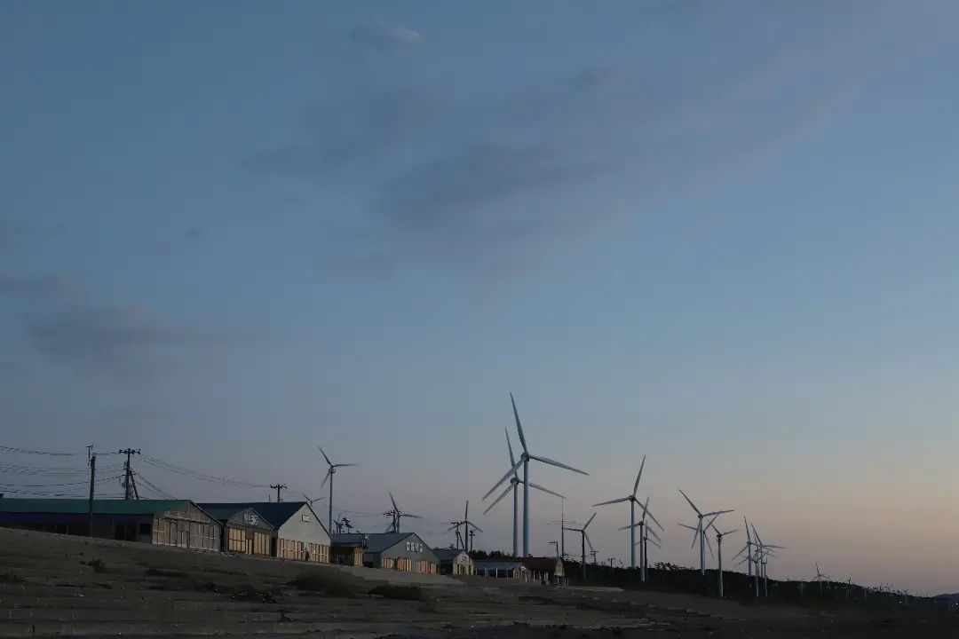 Canon EF50mm F1.4 USMを徹底解説。愛用者レビュー・作例も | ONE