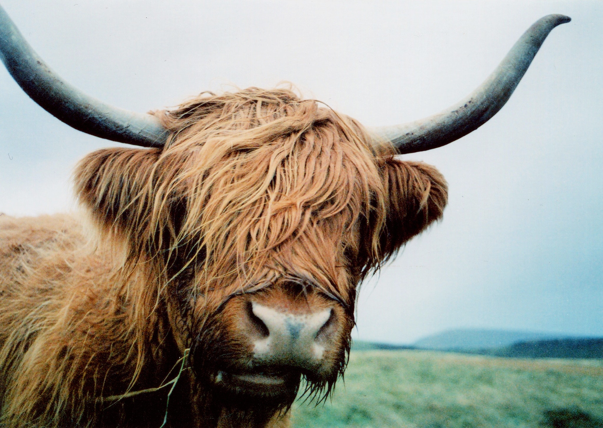 Nikon 35Tiを徹底解説。作例から中古価格・使い方まで | ONE SCENE