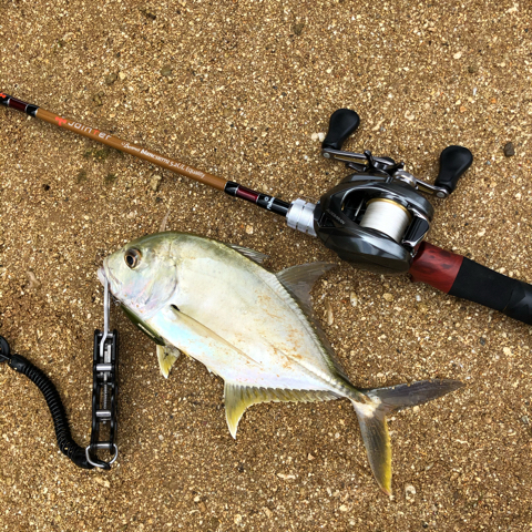 めーなちさきむい:僕がJointer Beams blanc sierra 5.2UL Equalityを