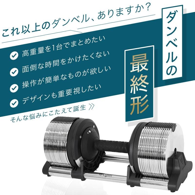 ライシン ヘリックスミラー 32kg 1kg刻み シルバー 1個 Lysin