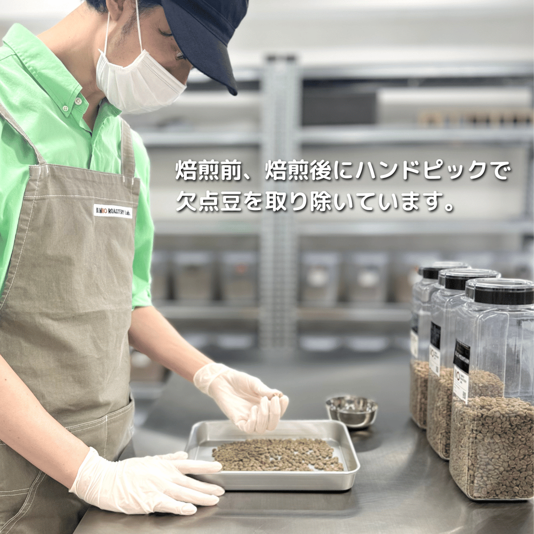 インドネシア スラウェシ ママサ｜コーヒー豆 通販 ILMIIO ROASTERY Lab.