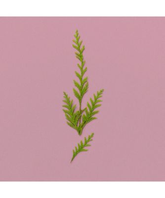 GUCCI beauty（GUCCI beauty） グッチ ア ウインター メロディー