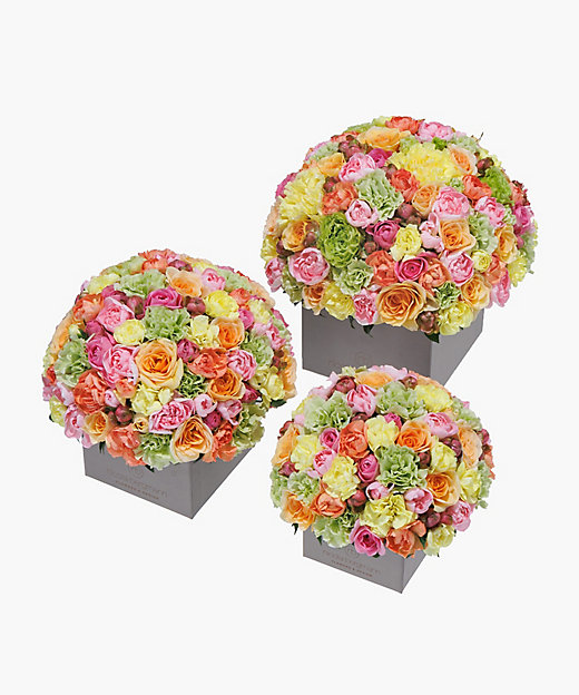 フレッシュフラワーアレンジメント（マルチ） | Nicolai Bergmann