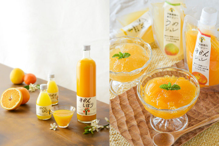 伊藤農園（旅する久世福e商店） | トップページ