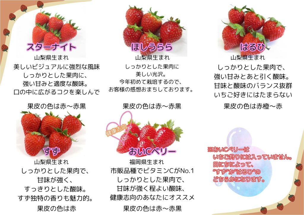 いちごちゃん家 | 群馬県高崎の観光イチゴ農園 新鮮ないちごはもちろん