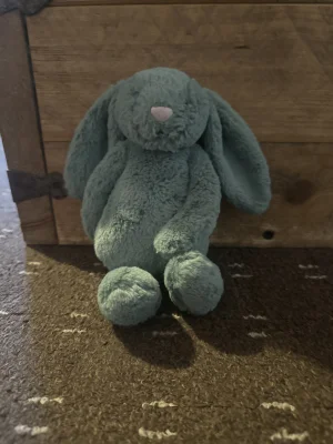 Bashful Ivy Bunny Jellycat | Jelly Journal