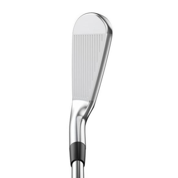 JD's Club - Mizuno Pro 225 Iron Set 4-PW DG 105 R300 – JD's Clubs