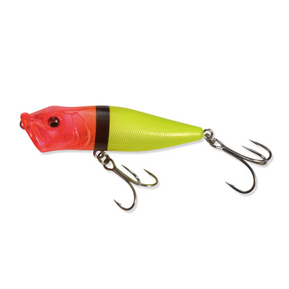 Salt Water Premium 第1弾 初夏のチヌトップ祭り | Megabass