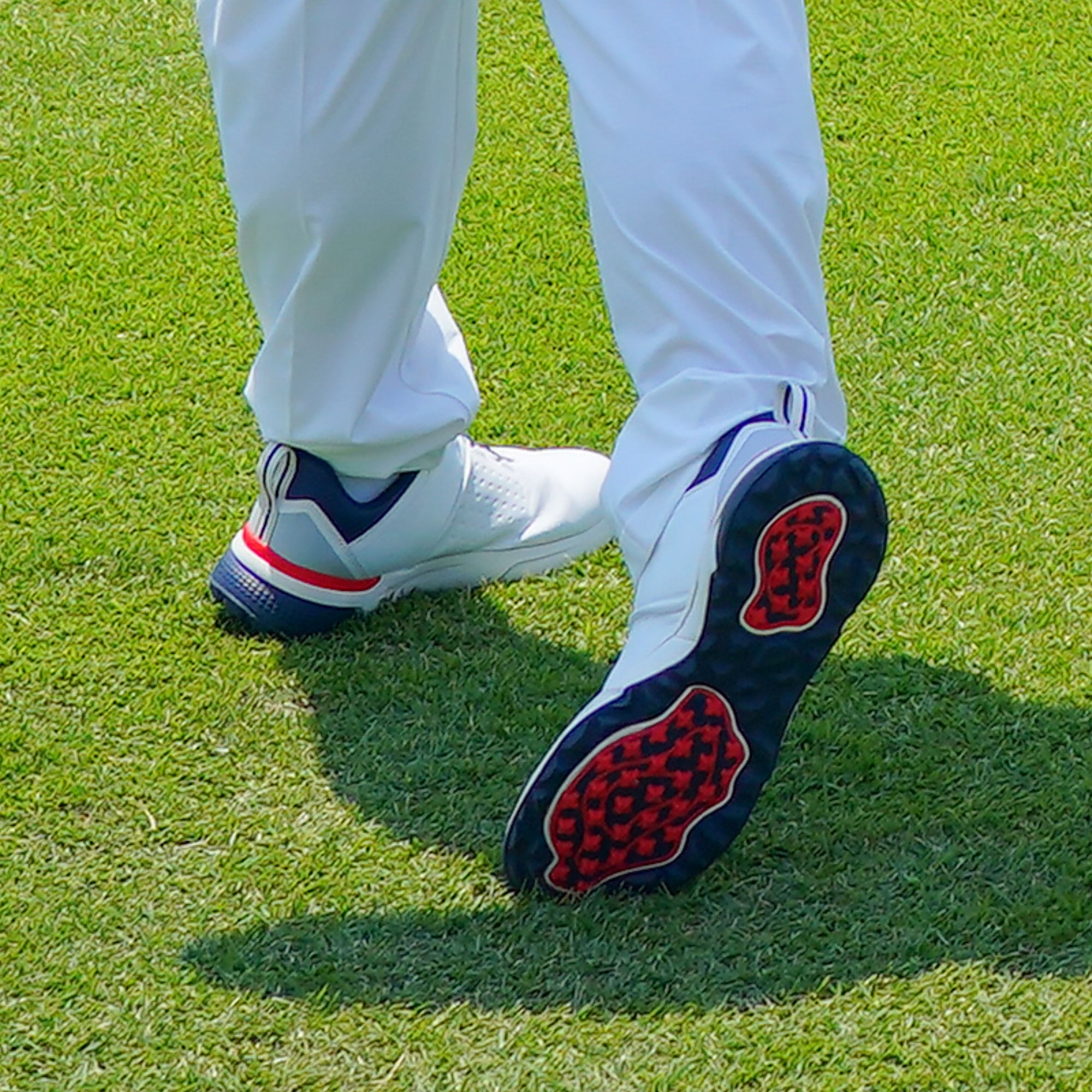 ハザードエナジー ボア(ゴルフ／防水)|51GQ2501|シューズ|ゴルフ