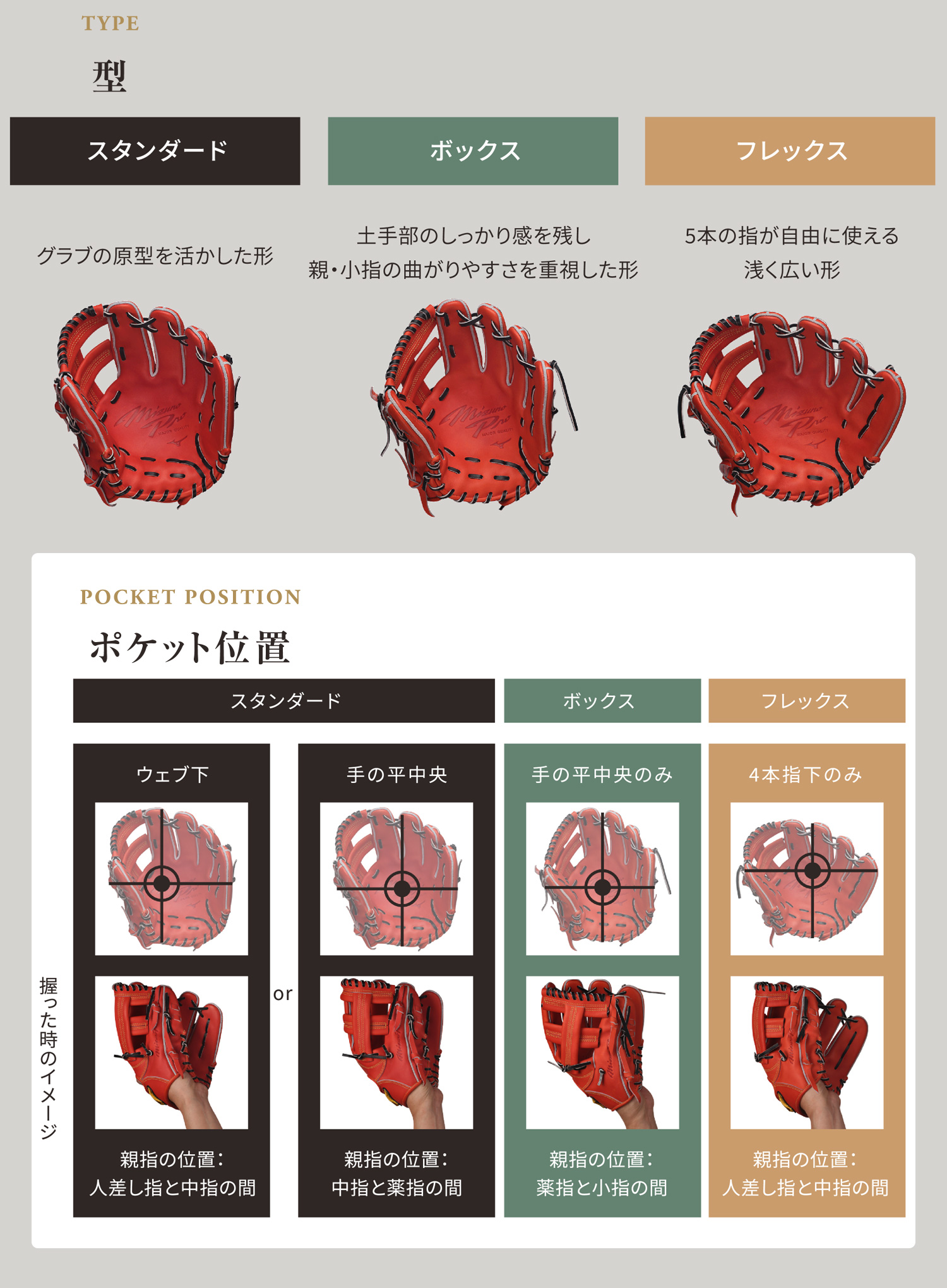 硬式用【ミズノ直営限定／ミズノプロ】復刻版【仁志敏久モデル／サイズ