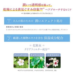 アルブラン ザ ローションⅠ レフィル（つめかえ用） | 花王公式通販