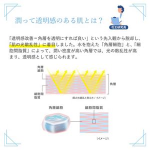 アルブラン ザ ローションⅢ レフィル（つめかえ用） | 花王公式通販