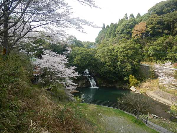 17.郡山の轟の滝 | かごしま生きものラボ