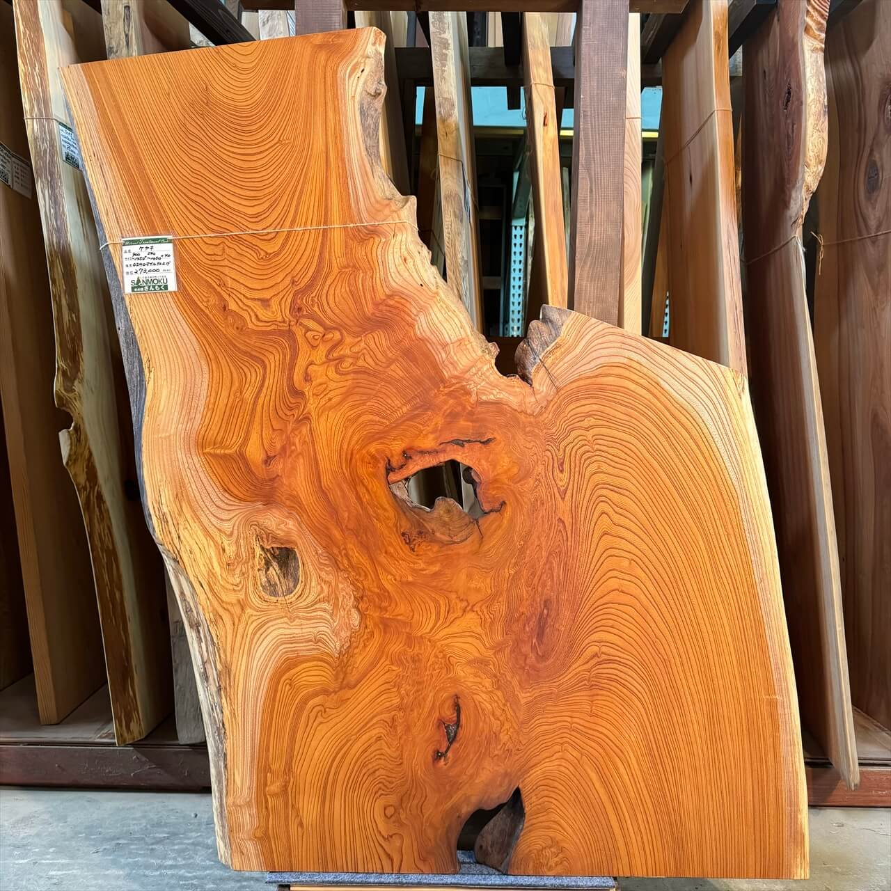 けやき一枚板【高樹齢】 900~1450×540~1050×40㎜【オイル塗装 仕上げ