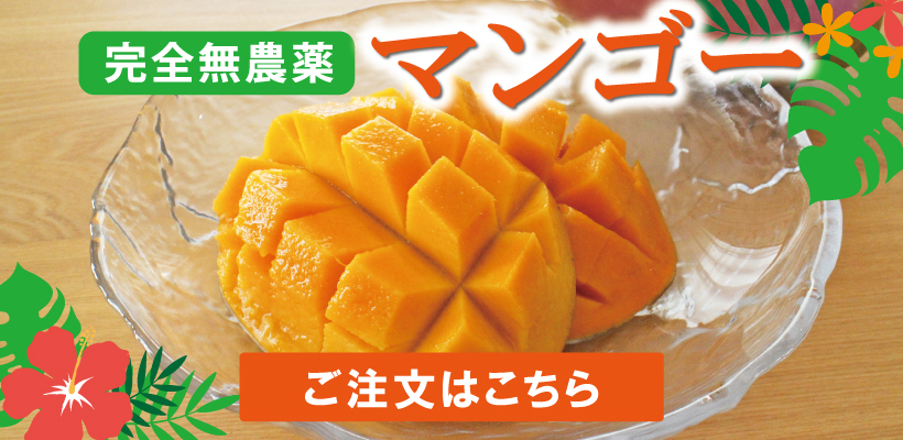 南国無農薬マンゴー｜子ども達に食べて欲しい極上マンゴー | 九州