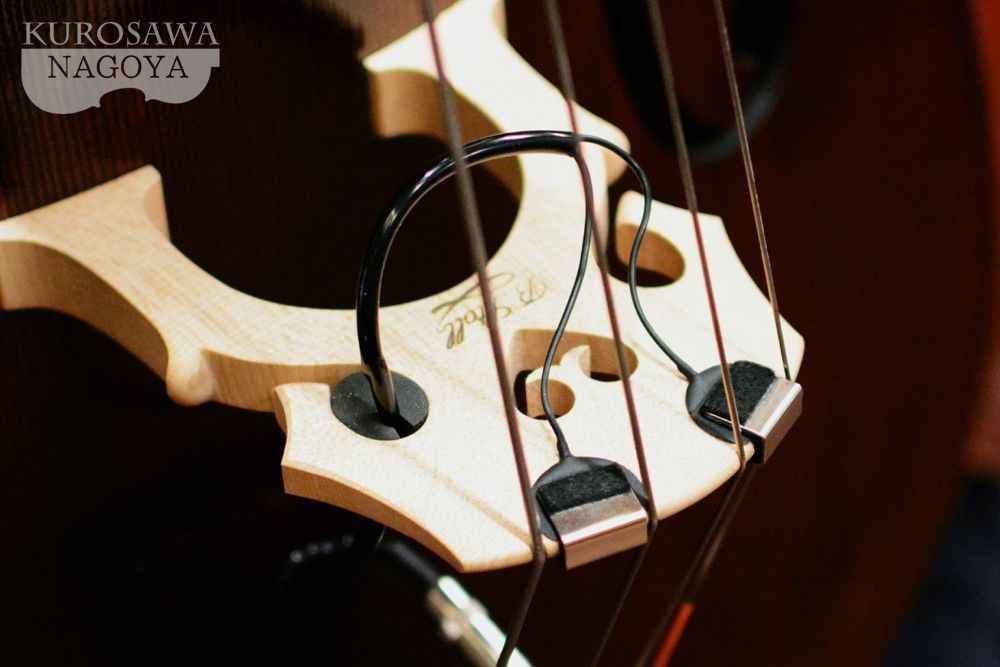 その他 FISHMAN BP-100 | 【クロサワ楽器店オンラインショップ】いい