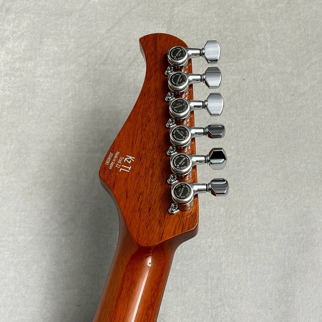 コンポーネントギター TL 2HUMタイプ