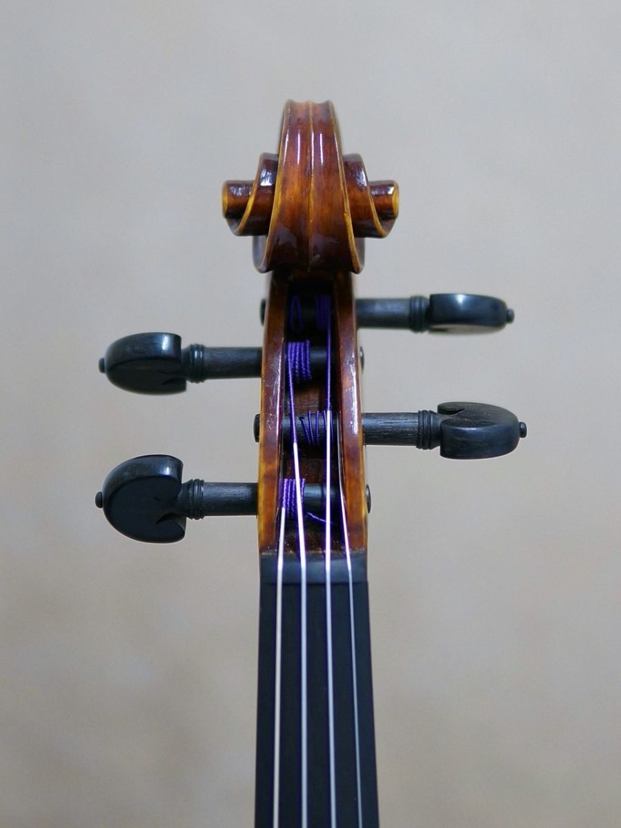 Gliga Gama I | 【クロサワ楽器店オンラインショップ】いい楽器との