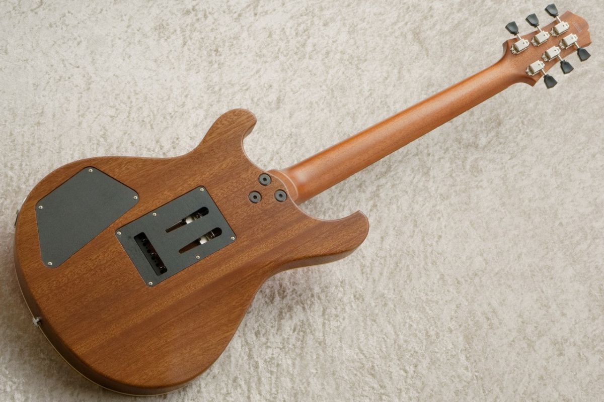 EW-88 -Translucent Pink | 【クロサワ楽器店オンラインショップ】いい