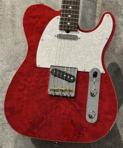 Provisionのエレキギター検索結果一覧 | 【クロサワ楽器店オンライン