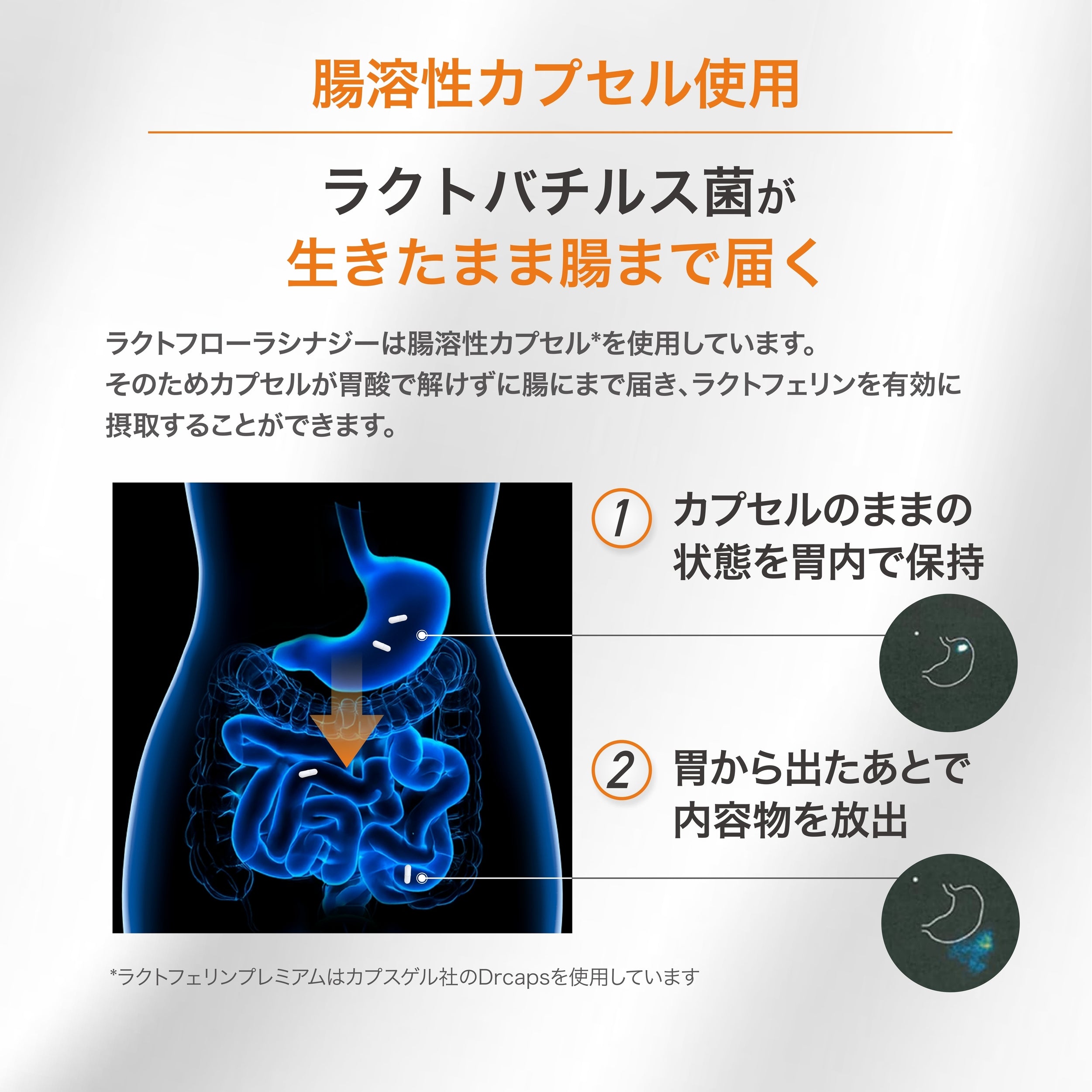 ラクトフローラシナジー – Lactoshop