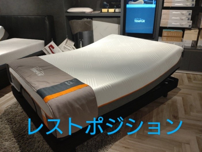TEMPUR®【Zero-G Curve（ゼロジーカーブ）/オリジナルリュクス30