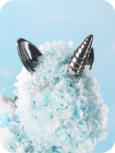 LaSeydoux - ラ・セドゥブランデー