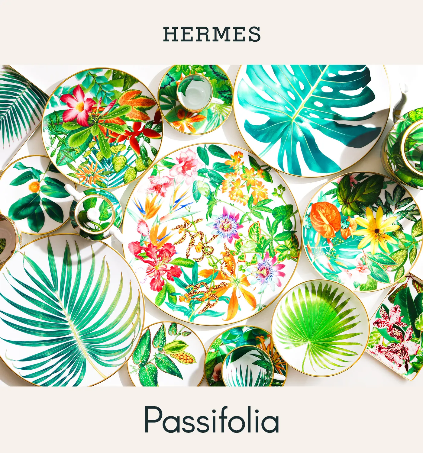 エルメス パシフォリア | ブランド洋食器専門店ル・ノーブル 公式