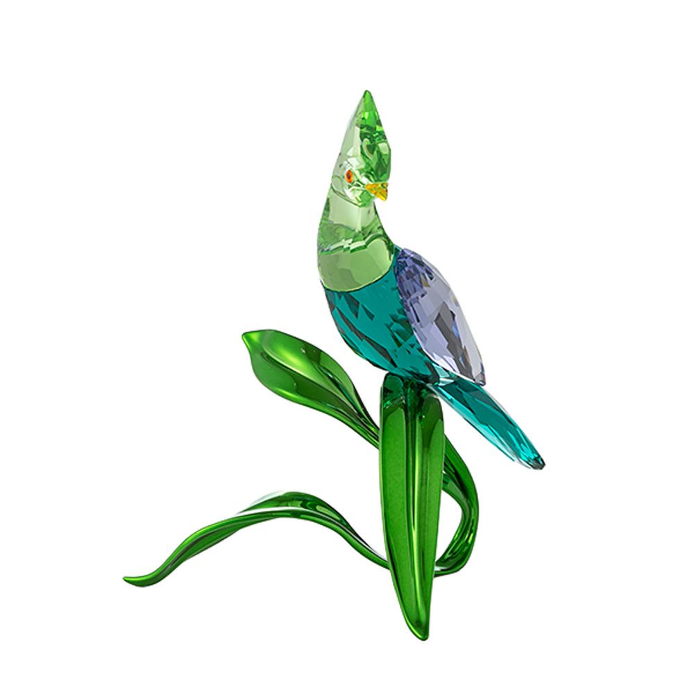 スワロフスキー All you Need are Birds コンゴウインコ ブルー