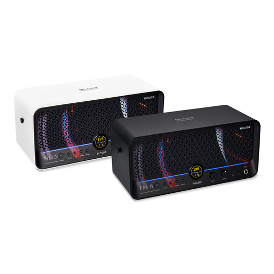 Lone Wolf Blues Company - Harp Break – LEP INTERNATIONAL