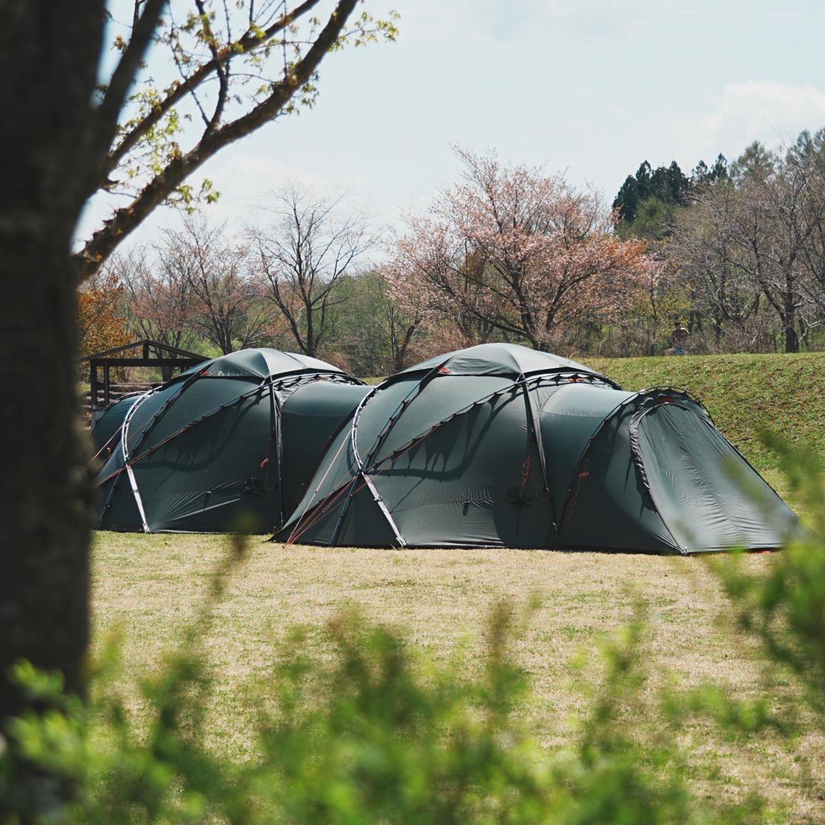 ヒルバーグ・アトラス】徹底レビュー｜ヒルバーグ最高峰のドームテント