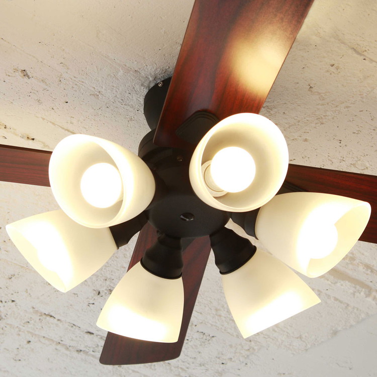 シーリングファン Windouble 6灯 BIG-102 | plusmore(プラスモア)