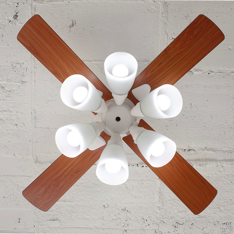 シーリングファン Windouble 6灯 BIG-102 | plusmore(プラスモア)